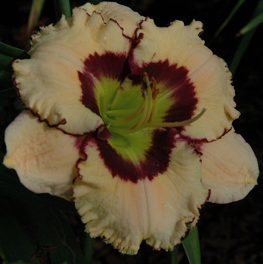 Kiss My Grits